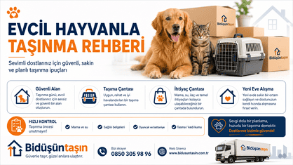 Evcil Hayvanla Taşınma Rehberi